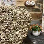 A Costa, Valle Del Mendo * Oza de los Ríos