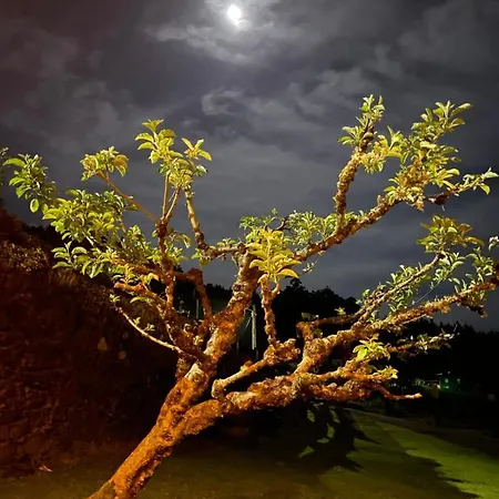 Rum i privatbostad A Costa, Valle Del Mendo Oza de los Ríos