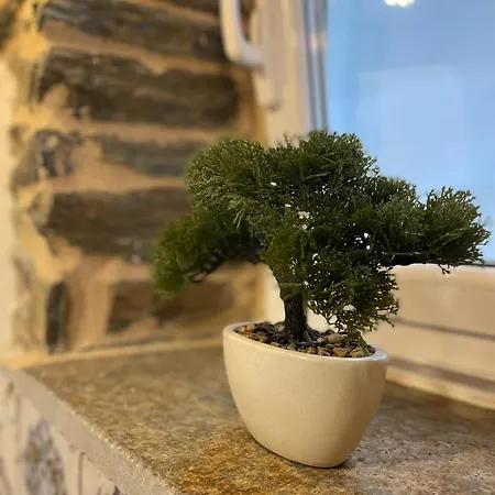 A Costa, Valle Del Mendo * Oza de los Ríos