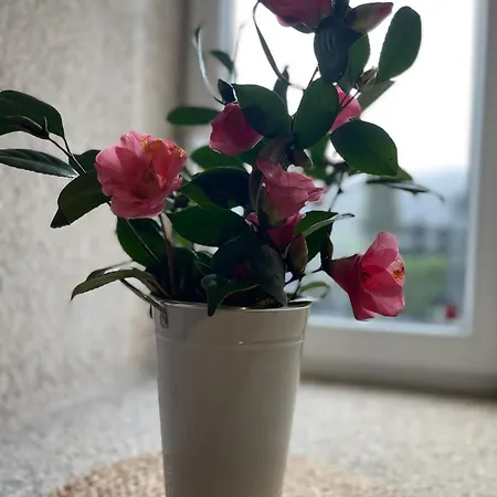 A Costa, Valle Del Mendo Homestay *