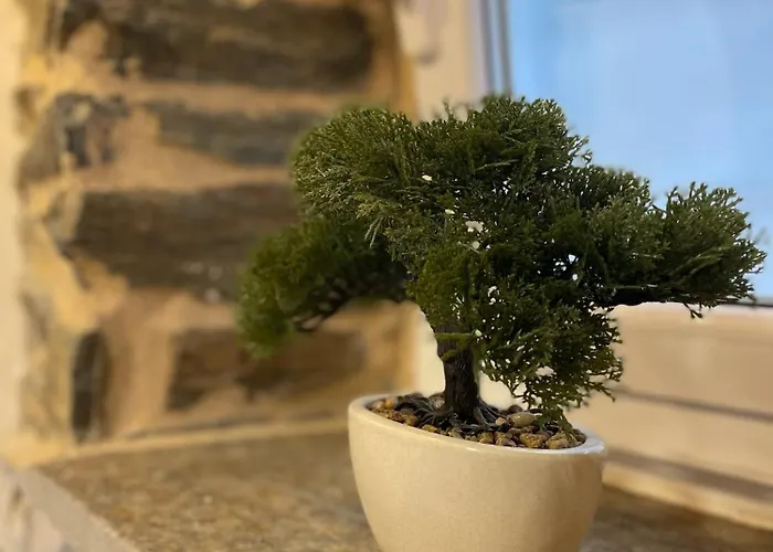 A Costa, Valle Del Mendo * Oza de los Ríos