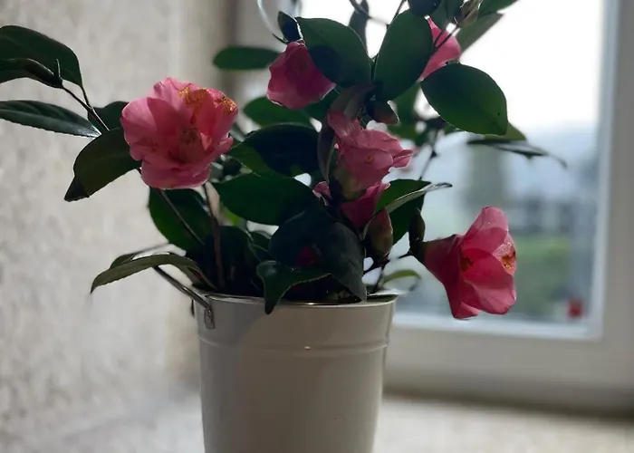 A Costa, Valle Del Mendo Habitación en casa particular *