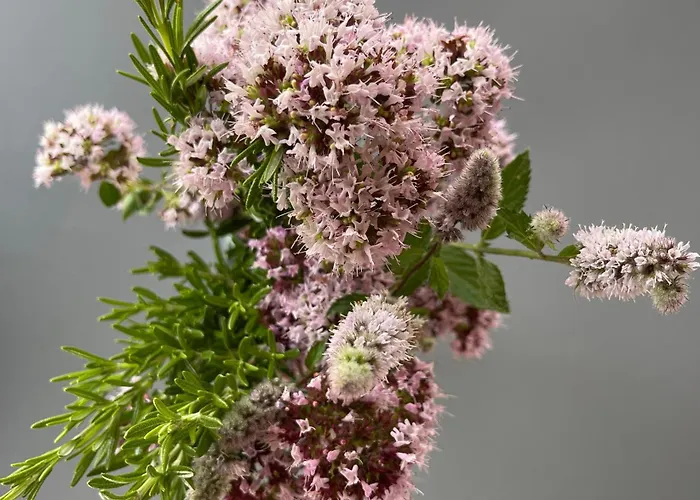 A Costa, Valle Del Mendo בית אירוח